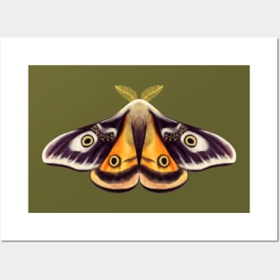 Moth Insect Art Goblincore Posters and Art